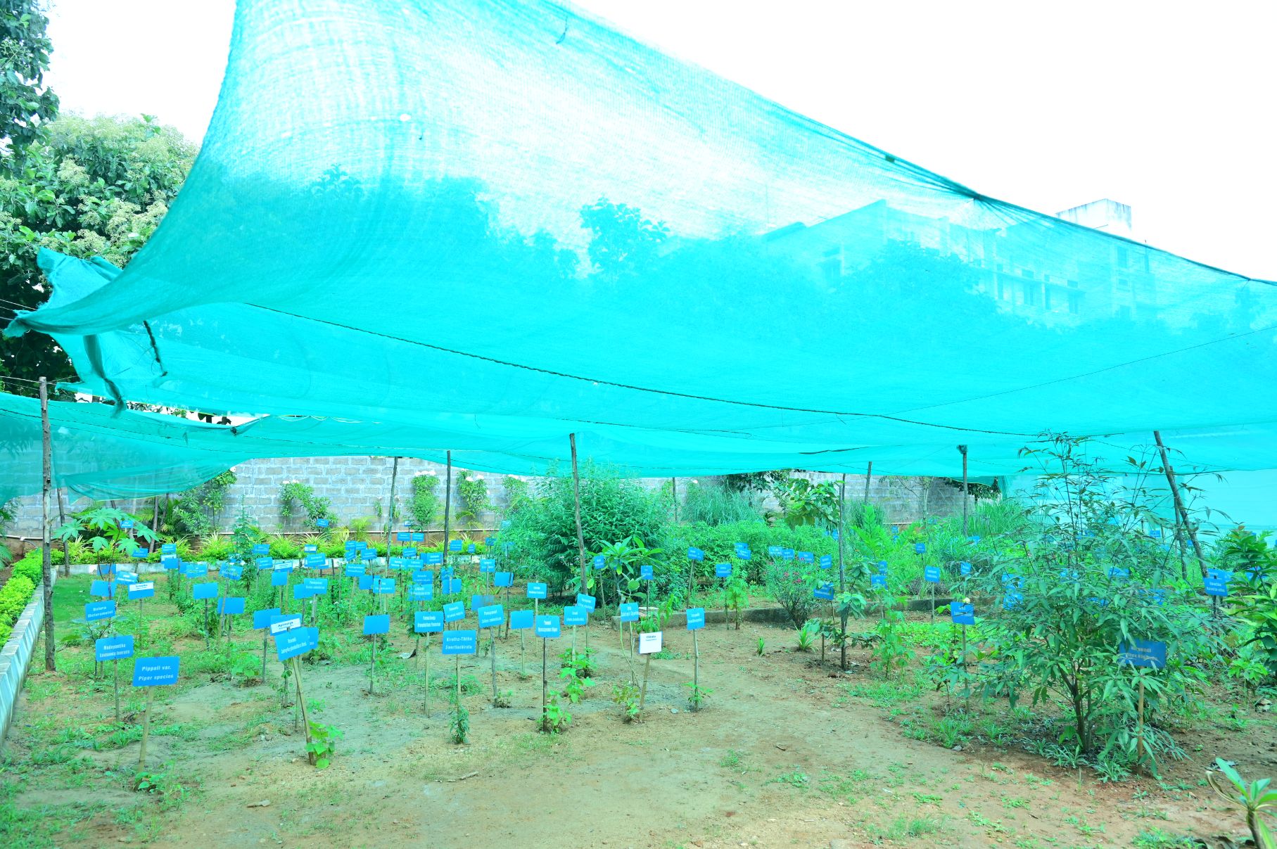 herbal-garden-cauvery-ayurvedic-medical-college-and-hospital