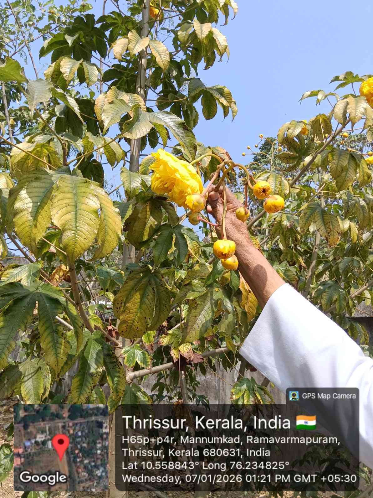 WhatsAppImage2026-02-18at10.29.55AM1