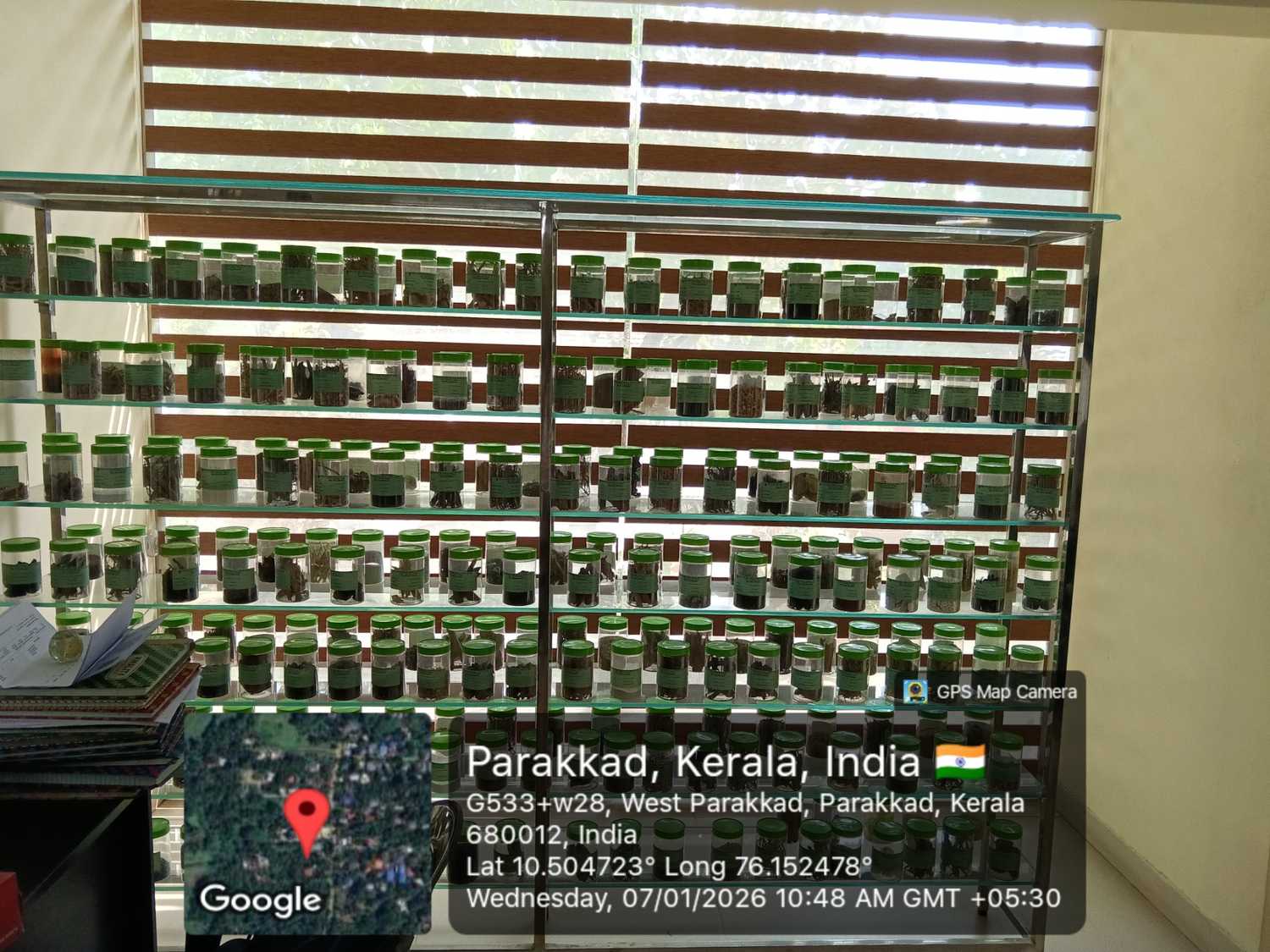 WhatsAppImage2026-02-18at10.29.57AM